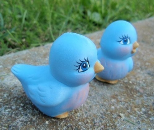 Blue Bird Couple