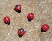 Cute Little  Lady Bug Set of five