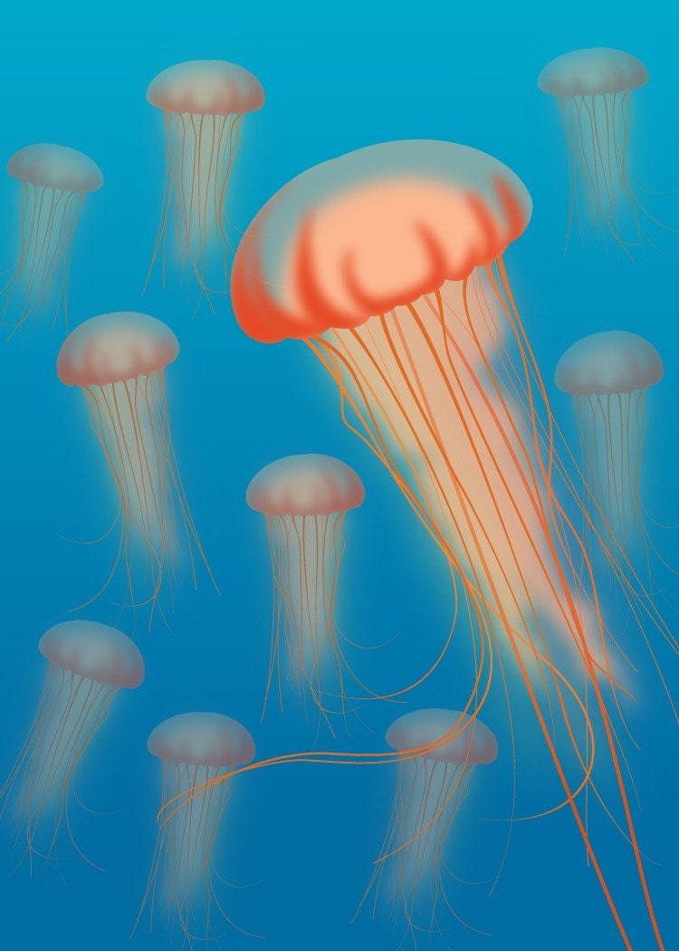 Medusae, Jellyfish 5 x 7 Fine Art Print Blue Orange Ocean Sealife Tentacle Animal Natural History