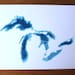 The Great Lakes - original 8 x 10 papercut art