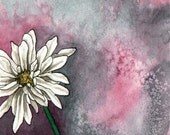 The Daisy - Set with 3 different daisy mini prints