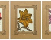 POPPY LILY HYDRANGEA letterpress printed Flowers in Kraft Vignettes 3 Prints
