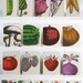 18 Packs of Assorted FARMERS MARKET CARDS - 144 letterpress cards with envelopes