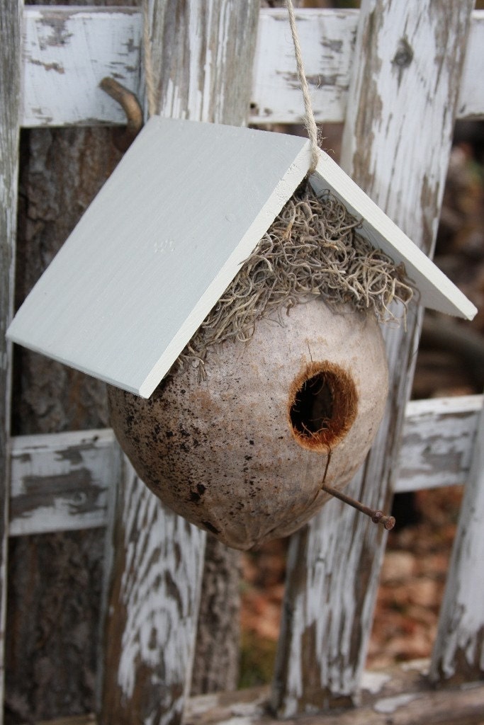 coconut bird house rose crafts