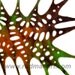Felted Scarf Wool Silk Art hand dyed shredded scarf Multicolor Forest Lime Brown Rusty