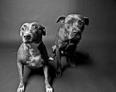 brother & sister no2