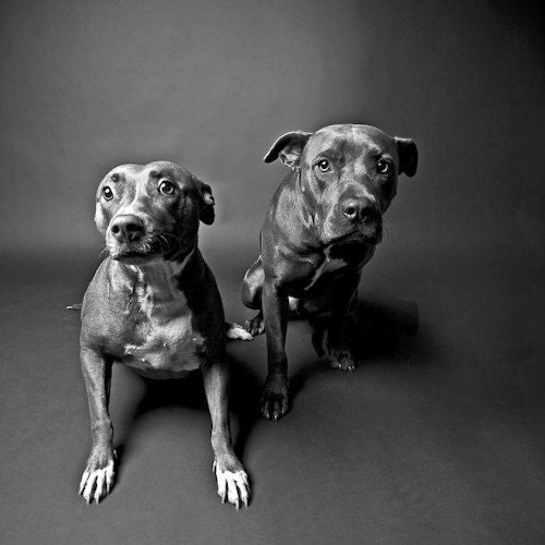 brother & sister no2