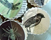 SALE Paper garland, The BIRDS and the Bees , for wedding, party, birthday, home decoration - 5 FEET