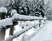 So White... - 5x7 inches Original Signed Fine Art Photography Print