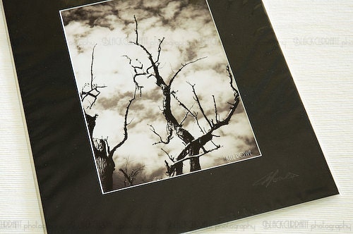 SALE Fine art photograph dark sepia black white clouds dead trees contrasty lament Australian nature matted 5x7 IN STOCK.