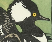 HOODED MERGANSER blank bird greeting card