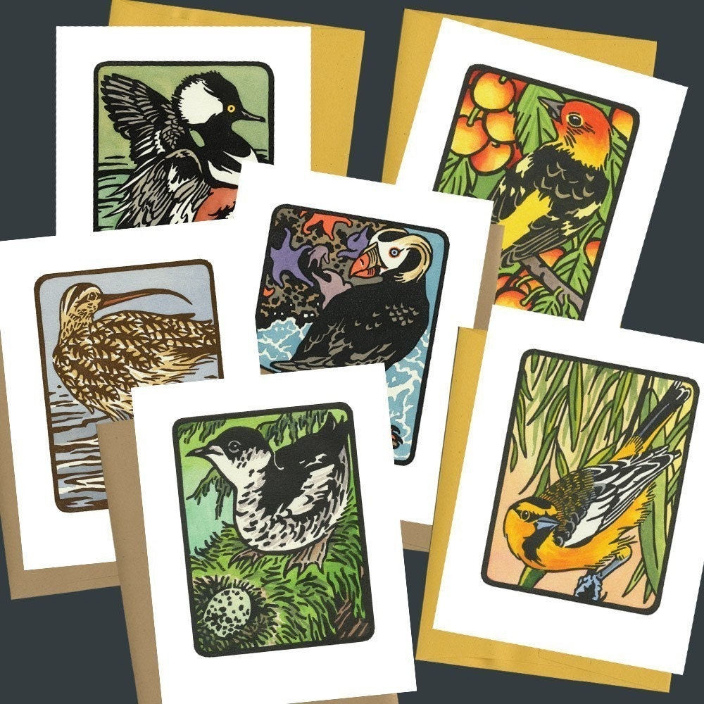 FLOCK set of 6 different blank bird greeting cards, assorted