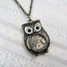 Steampunk  Owl