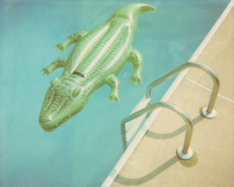 Crocodile Ladder - 8x10 Retro Polaroid Fine Art Print - Alligator Pool Float Swim Swimming Summer Vacation