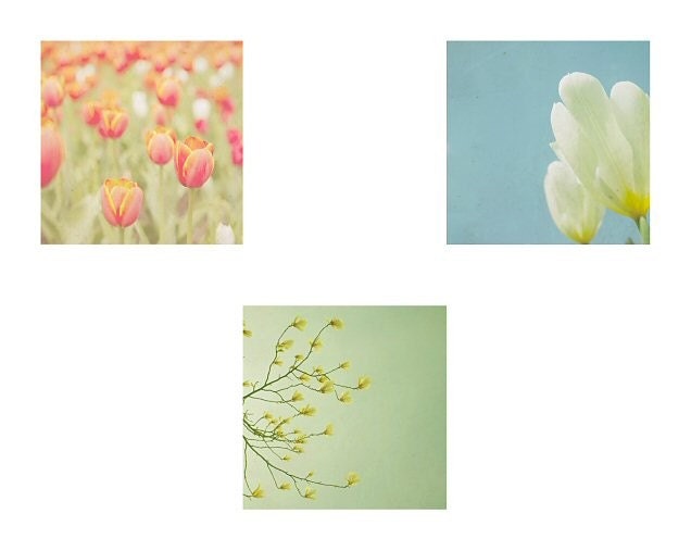 Floral art - Floral photography - Summer- A set of Fine art photographs -color - Special offer