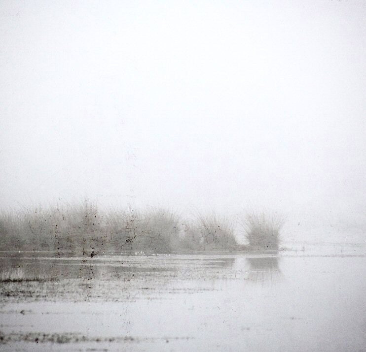 Mist art - Mist photography - Fog-   Fine art photography print -  Nature - Fenland - 7x7