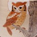 Owl and Moon Pottery Coffee Mug Limited Series 193 (microwave safe) 12oz