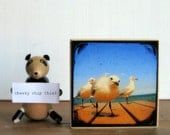 Wood Photo Block 4x4 Seagull at the Beach Photograph Mounted to Wood Block - Rustic Home Decor - TtV Photography Wall Display