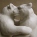 Bears in love