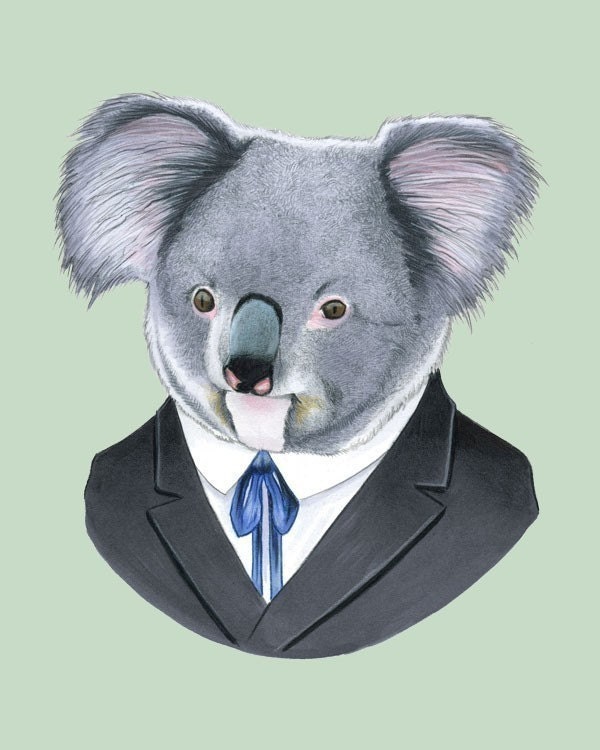 Koala art print 8x10