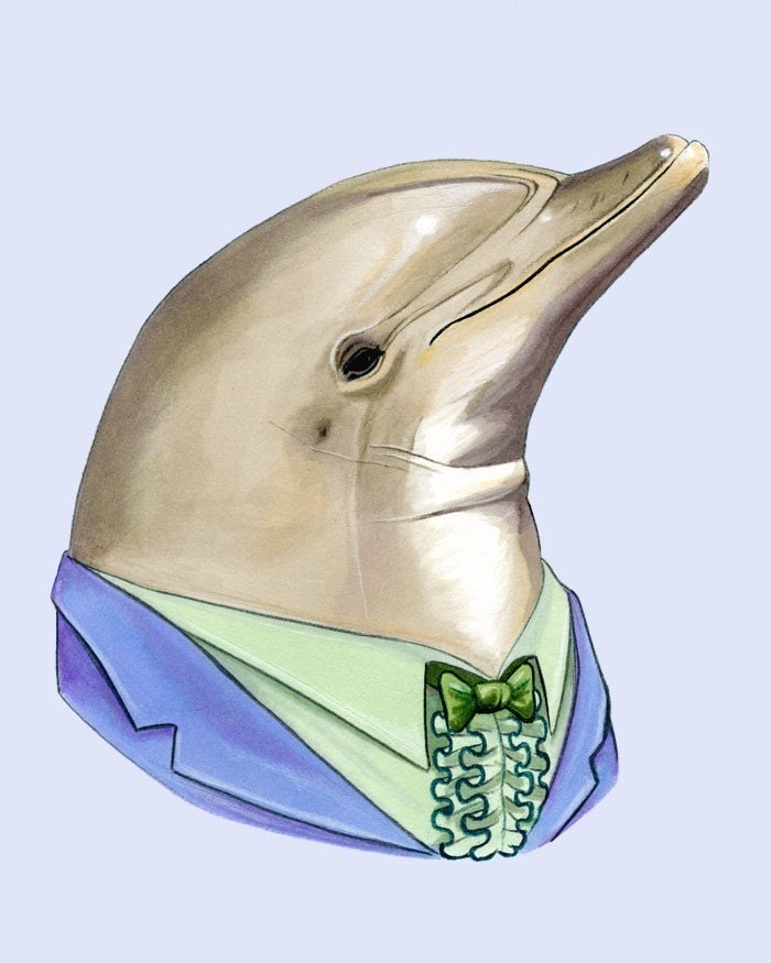 Dolphin print 8x10