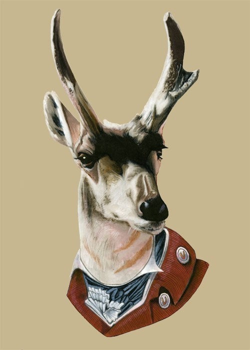 Buck art print 5x7