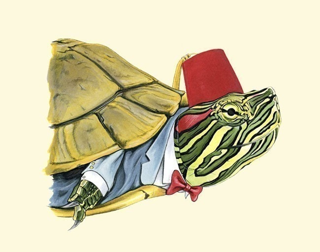 Painted Turtle print 11x14