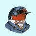 Swallow art print 11x14