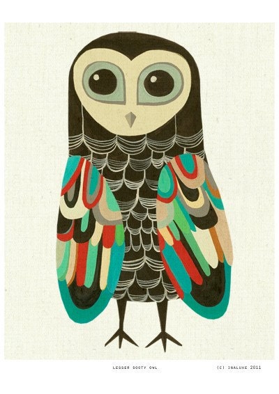 The Lesser Sooty Owl - 8 x 10 inch giclée bird print