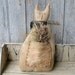 Primitive Cat