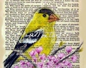 Art Print Watercolor on Bible Page by Gayle Montayo AMERICAN GOLDFINCH Wisdom  Promises Godliness Happy Gain Of Wisdom