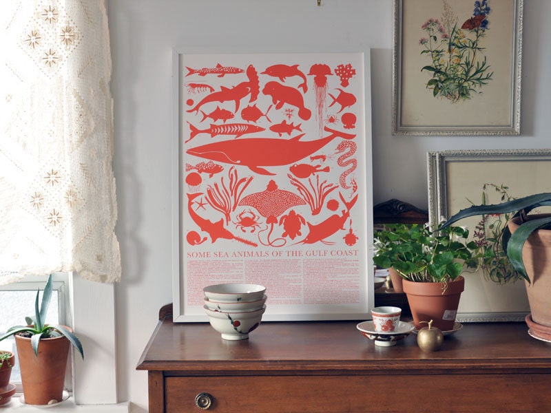 Large Print - Sea Animals of the Gulf Coast