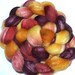 Fruity hand dyed bfl/silk roving 3.5ozs