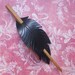 raven tail feathers