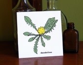 Dandelion Print from the Wild Edibles Series as seen on ABC's Modern Family