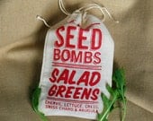 Salad Greens Seed Bombs - Edible Indoor or Outdoor Gardening