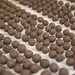 East Coast Seed Bombs - Bird Bee and Butterfly Friendly DIY Guerilla Gardening Seeds Seed Balls