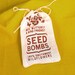 Southwest Seed Bombs - Bird Bee and Butterfly Friendly Gardening Stocking Stuffer