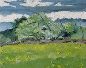 Fournier Appalachian Plein Air Oil Painting Quebec Canada  "Growing Wild" 10" x 12"