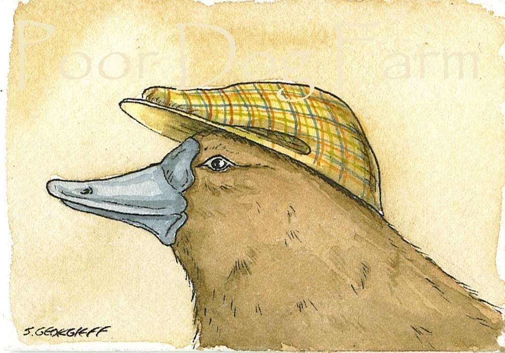 ACEO signed PRINT - Platypus with a hat
