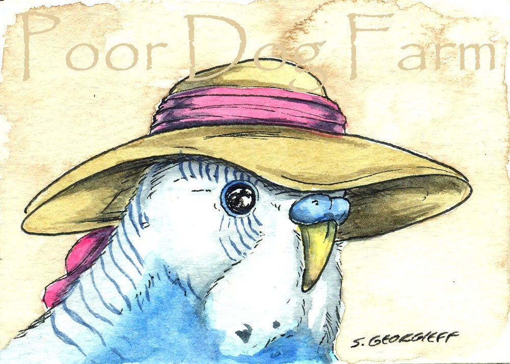 ACEO signed Print - Beach Budgie N0. 1