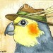 A Dapper Cockatiel with hat- 5x7 print