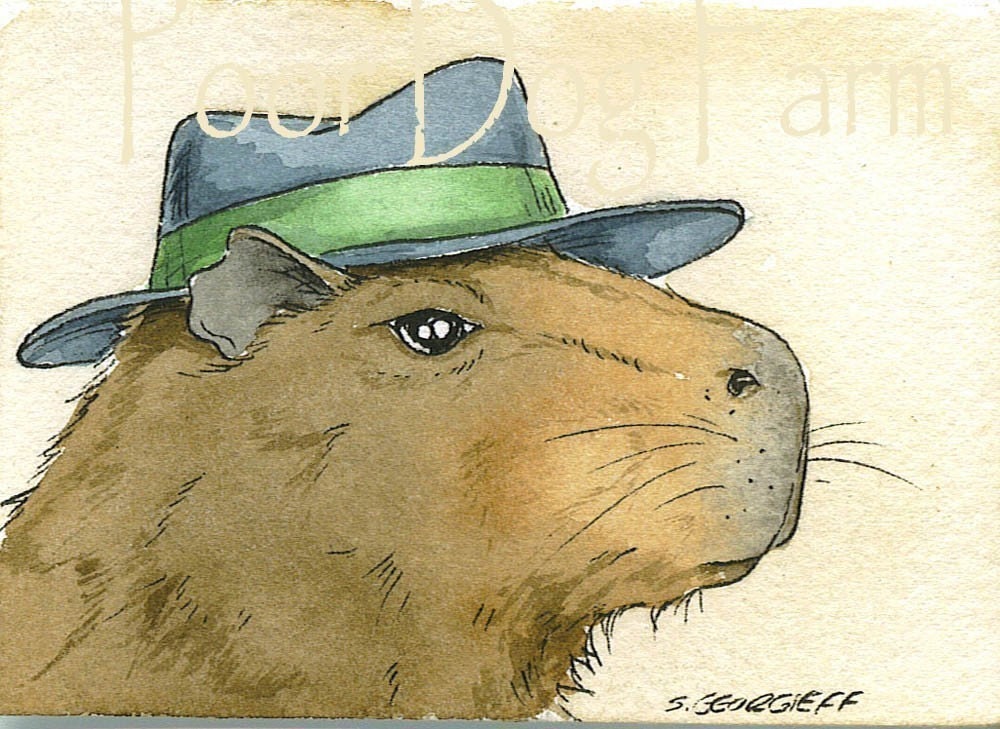 1284 best r/capybara images on Pholder One of the happiest days of my