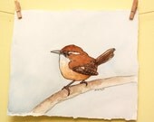 Carolina Wren -- Original Bird Watercolor Painting