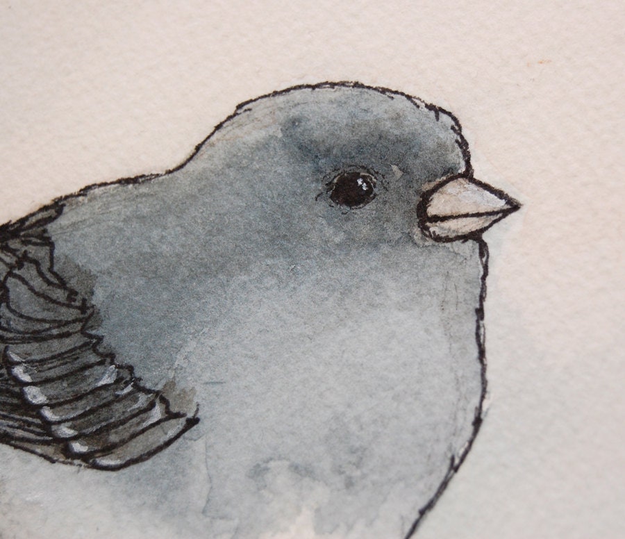 Junco -- 8x10 Archival Print