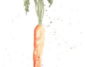 Carrot Poster -- 16x20 inches -- Large-format archival Giclee Poster Print on Watercolor Paper