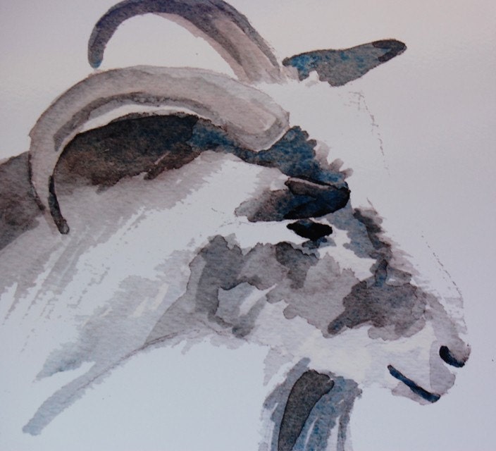 Lulu Belle the Goat -- 8x10 glossy archival print