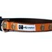 5/8 or 3/4 Inch Wide Dog Collar with Adjustable Buckle or Martingale in Beer an Exclusive Design