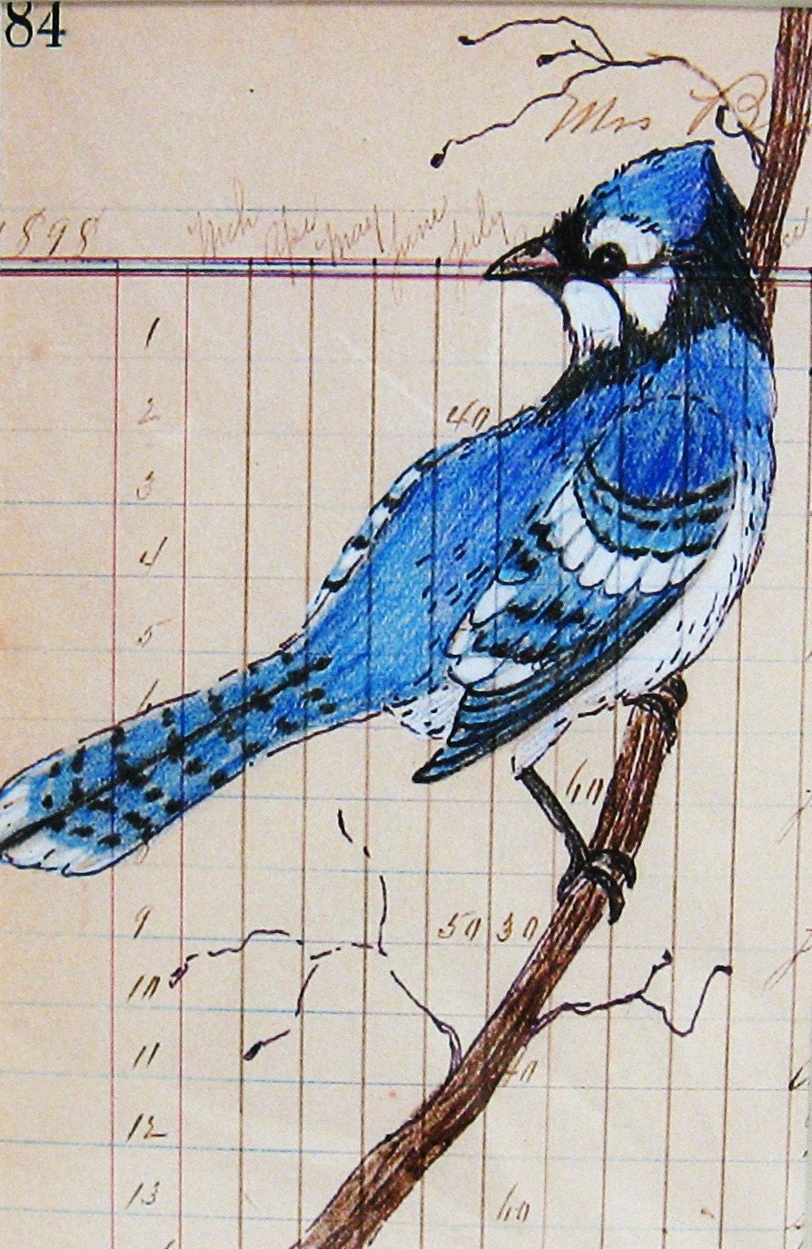 Primitive Folk Art Blue Jay and Vintage Paper Print - digiliodesigns