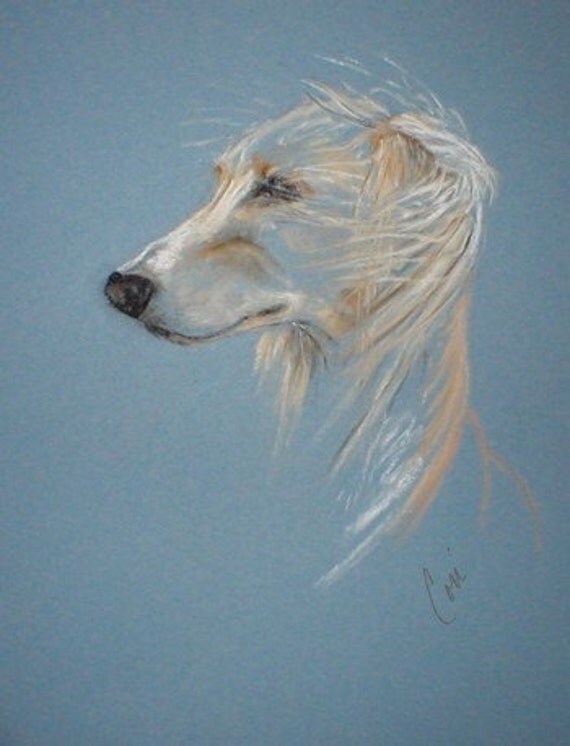 Saluki Art